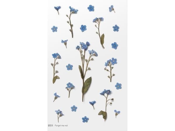 Appree Koristetarrat Kukat Forget-me-nots