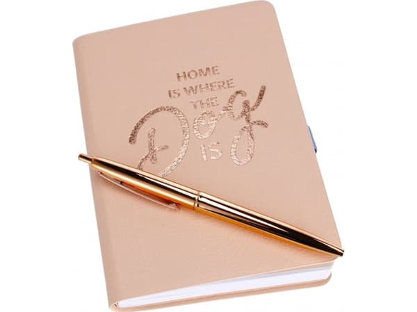 Starpak NOTES 110X165 DLUG GOLD R STK PB 6/48