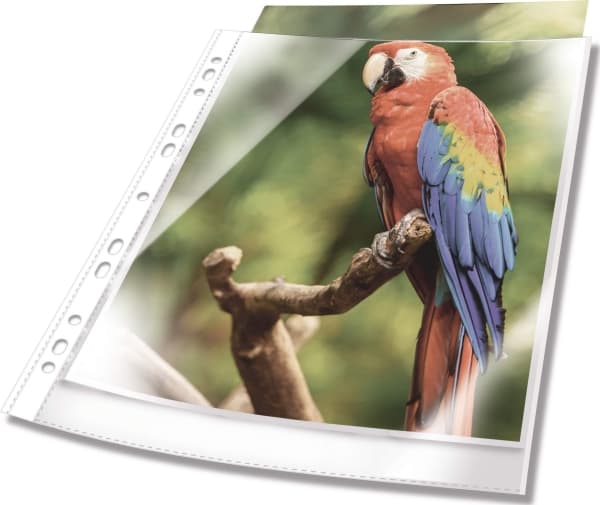 DURABLE PREMIUM - Arkbeskytter - for A4 (210 x 297 mm) - krystallklar, Hvit ramme (en pakke 10)