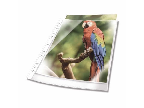 DURABLE PREMIUM - Arkbeskytter - for A4 (210 x 297 mm) - krystallklar, Hvit ramme (en pakke 10)