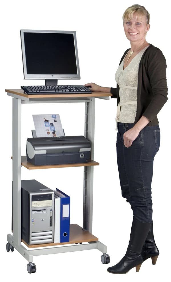 TWIN CLICK MOBIL Printerstand 1 bøg/grå 600x500x1180 mm