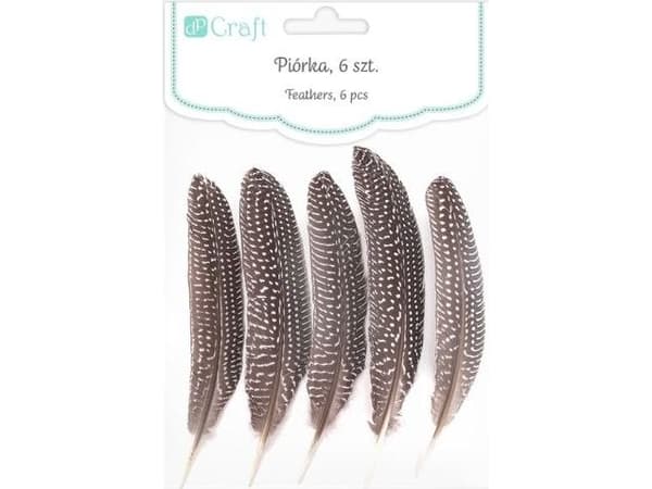 DP Craft Pióra bażanta DPCRAFT 18-20cm 5szt. Dalprint