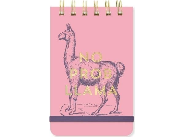 Designworks Ink Notatnik A6/40K linia No Prob Llama |