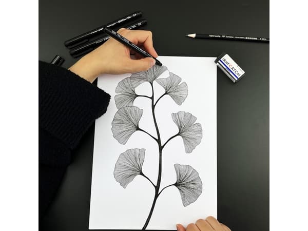 Tombow WS-EFL-H-F-4P, Svart, Fin, Svart, Blå, Vit, Rund, Blåsa, 4 styck