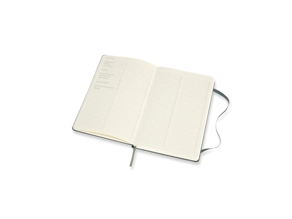 Moleskine Muistikirja MOLESKINE Professional L (13x21 cm), kovakantinen, metsänvihreä, 240 sivua, vihreä