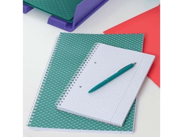 Esselte Colour'Breeze - Notisbok - spiralbundet - A4 (210 x 297 mm) - 80 ark / 160 sider - rutet - 4 hull - grønn - polypropylendekket kartong