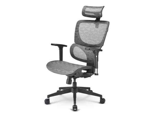 Sharkoon OfficePal C30M - Stol - ergonomisk - høy bakside - armlener - T-formet - tipping - roterende - masketekstil - grå