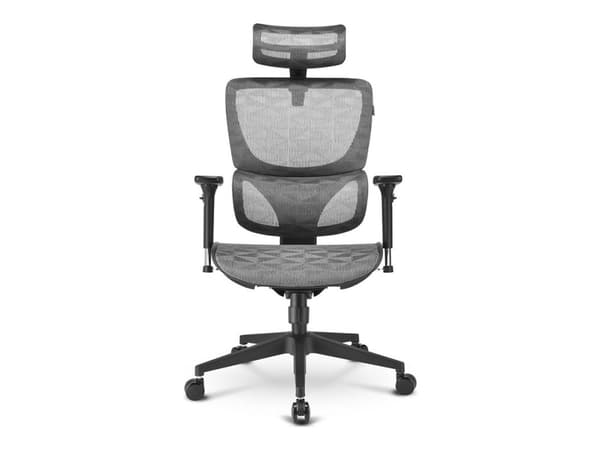 Sharkoon OfficePal C30M - Stol - ergonomisk - høy bakside - armlener - T-formet - tipping - roterende - masketekstil - grå