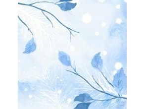 Serviet Dunisoft Airlaid 40x40cm FSC Frosted Winter,60 stk/pk