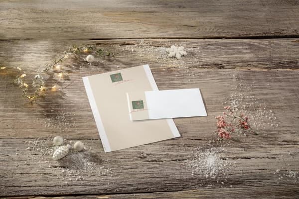 Sigel DU256, DL (110 x 220 mm), Beige, Vihreä, Valkoinen, Paperi, 90 g/m², Saksa, 220 mm