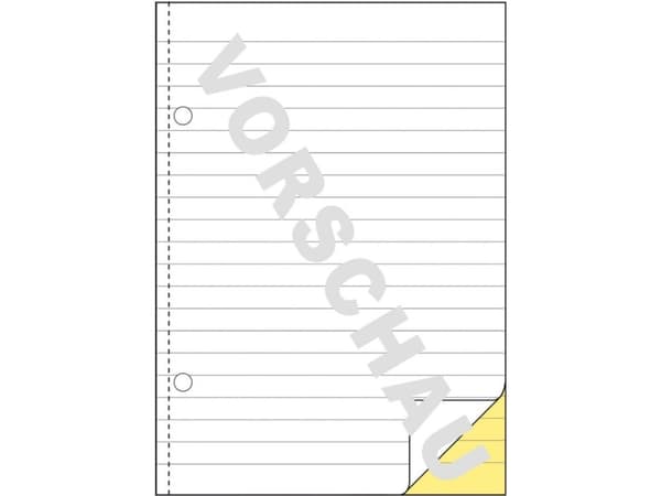 Avery Zweckform - Dupliseringsbok - 40 ark - A5 - dublett - karbonfri