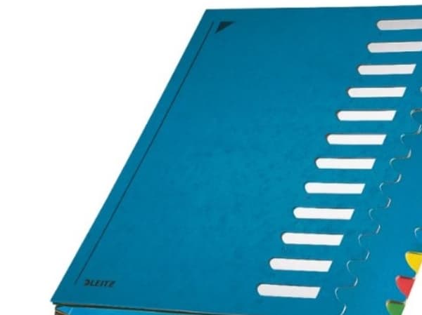 Leitz 59120035, Sininen, 245 mm, 320 mm