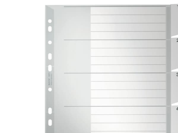 Leitz Register Blanc, 238 mm, 297 mm