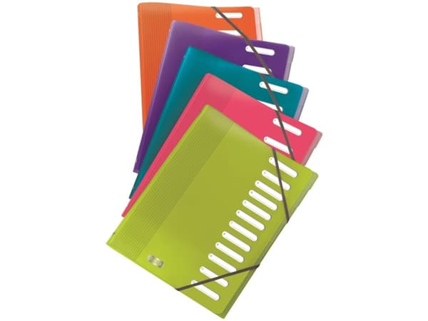 Elba 400006531, A4, Polypropylen (PP), Blå, Grön, Orange, Rosa, Turkos, Poträtt, 12 ark, Arkiveringslåda, boxmapp