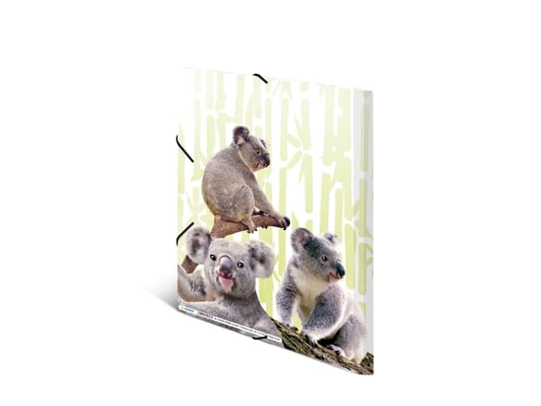 HERMA Koalafamily, Vanlig mapp, A4, Polypropylen (PP), Multifärg, Resårband, 240 mm