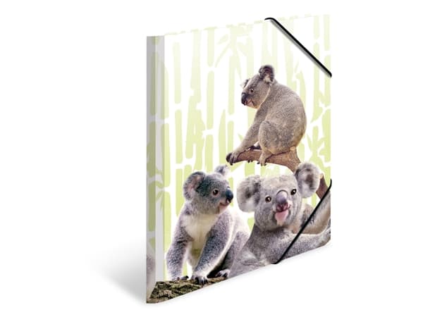 HERMA Koalafamily, Vanlig mapp, A4, Polypropylen (PP), Multifärg, Resårband, 240 mm