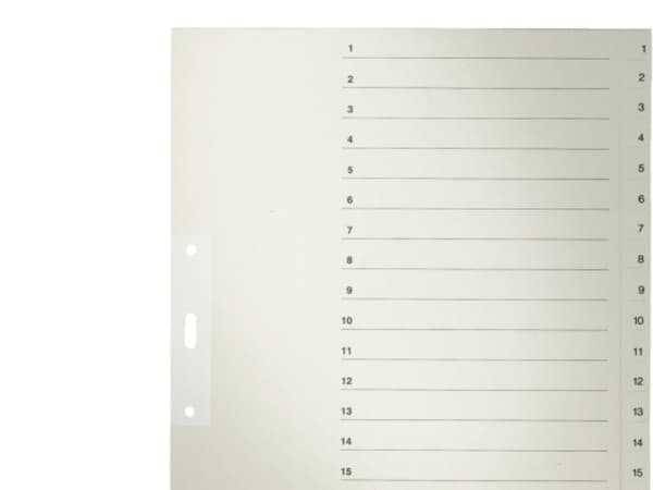 LEITZ kastepaperit, numerot, A4 ylikoko, 1-20, harmaa 20-osainen, 100 g/m2, rei'itys: 80 mm, reikävahvistus (1234-00-85)