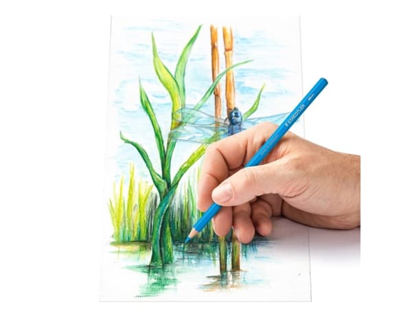Staedtler 146 10C, Soft (myk), Flerfarget, 12 stykker