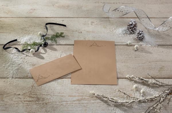Sigel DU253, DL (110 x 220 mm), Beige, Svart, papper, 100 g/m ^, Tyskland, PEFC