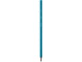 Miniatyrbilde 5 av 5: BIC ECOlutions, 36 stykker