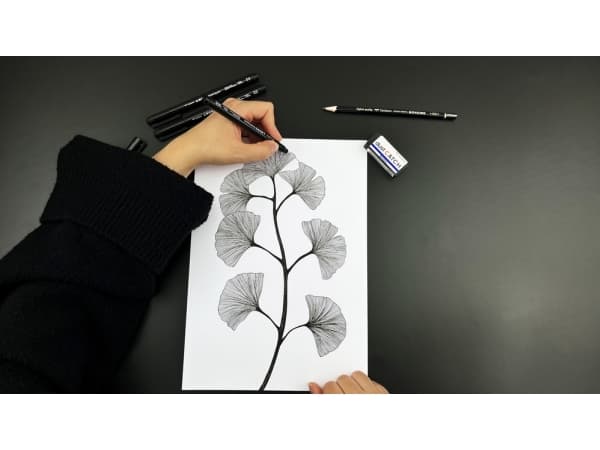 Tombow WS-EFL-H-02, Svart, Fin, Svart, Rund, 0,3 mm, 1 styck