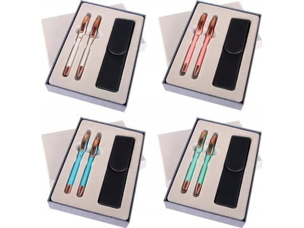 Teka Master penna + penna i ES-fodral