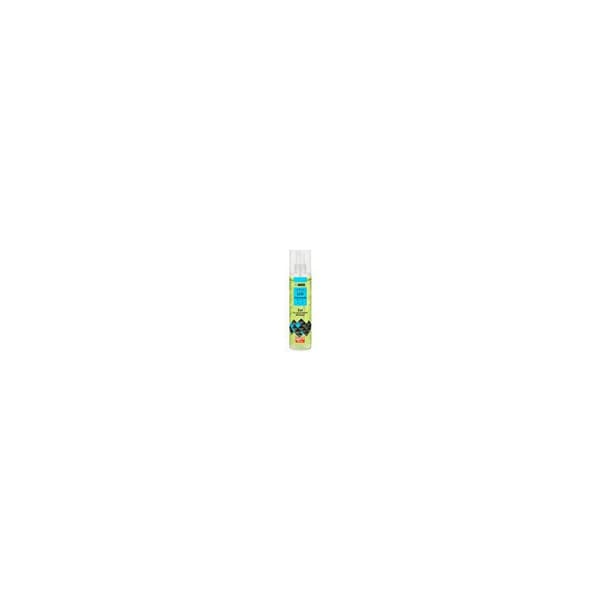 iBox CHGG2 all-purpose cleaner 250 ml Gel
