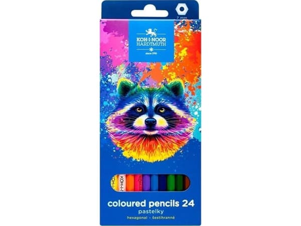 Crayons 3554 Raccoon 24 colors