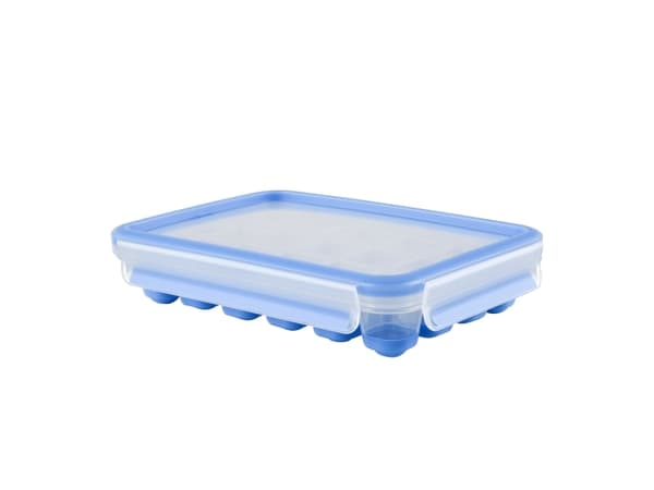 Tefal MasterSeal K30236, 1 styck, Rektangulär, Islåda, Blå, Transparent, 165 mm, 226 mm