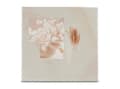 Miniatyrbilde 2 av 5: Hama Singo II, Beige, 200 ark, 10 x 15, 100 x 150 mm, Hvit, 100 ark