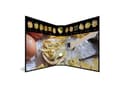 Miniatyrbilde 5 av 5: HERMA 19564, A4, Rund ring, Oppbevaring, Fotoark kartong, Flerfarget, 400 ark