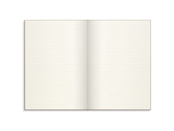 Vakiotyyny, Mayland Deluxe, A4 beige, 210x297mm, 100g/m2, laatikko 10 kpl FSC Mix Luotto