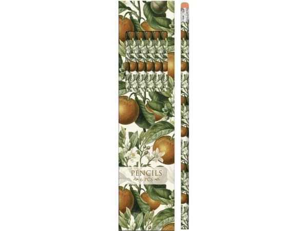 Decorative pencils STPEN25 orange - set of 6 pieces