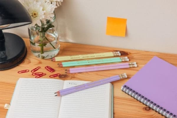 BIC Evolution, HB, Grön, Rosa, Lila, Gul, Hexagonal, 53 mm, 18 mm, 181 mm