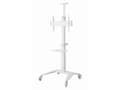 Miniatyrbilde 3 av 5: Gembird - Vogn - for TV - with caster wheels - aluminium - hvit - skjermstørrelse: 37"-70"