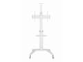 Miniatyrbilde 4 av 5: Gembird - Vogn - for TV - with caster wheels - aluminium - hvit - skjermstørrelse: 37"-70"