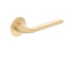Miniatyrbild 1 av 2: Metal-Bud Handle Door Bella R Slim Gold