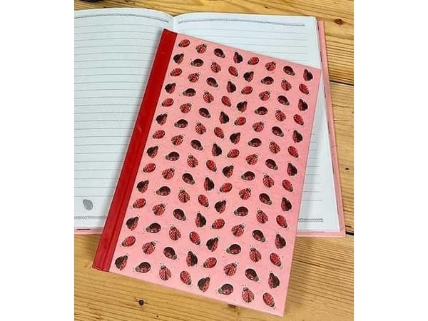Muistilappu A5 SHB05 Ladybirds TW