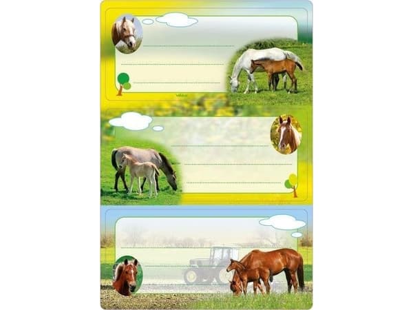HERMA 5568, Multifärg, Rektangel, Permanent, papper, 6 styck, 3 styck