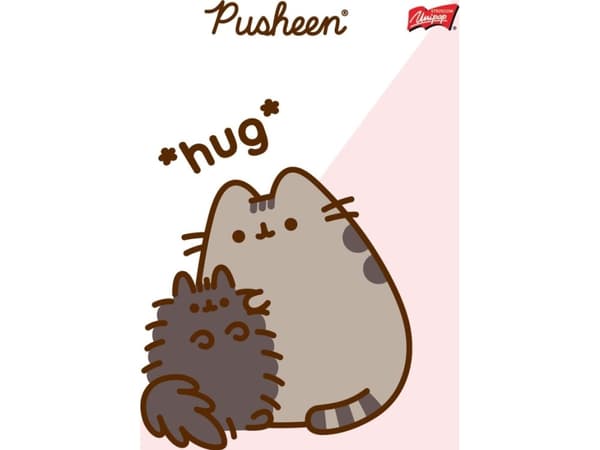 MAJEWSKI Zeszyt A5 32k krata laminowany Pusheen p15 mix hinta 1 kpl kohden