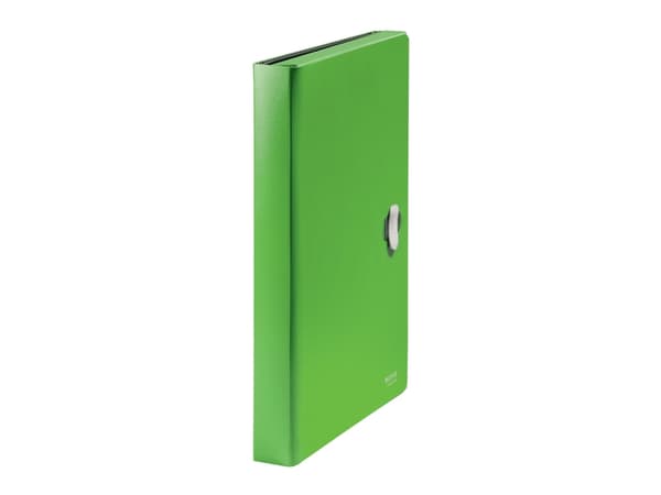 Leitz Recycle - Utvidbar mappe - 5 rom - 5 deler - fortrykt: 1-5 - for A4 (210 x 297 mm) - kapasitet: 250 ark - med fliker - grønn