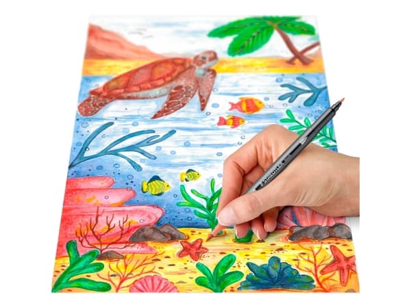 STAEDTLER dobbelfiberpenn "Australia", pappeske med 6, 2 spisser, linjebredde: 1,0 - 6,0 mm / 0,5 - 0,8 mm, - 1 stk (3001 C6-2)