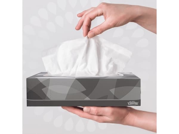 Kleenex 8835, Hvit, Monokromatisk, Storbritannia, 186 mm, 215 mm, 36300 mm