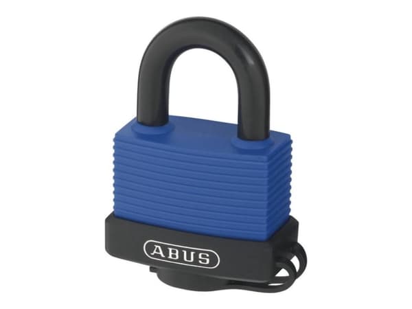 Synology PADLOCK HANG 70IB/50 42732