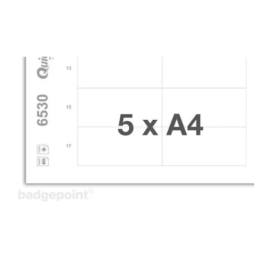 Navneskilt Badgepoint® 70x30 mm, Polar® Classic 30 Medarbejderskiltesæt, skilte med antracit ramme, akrylglas og printbare indstik - 20 skilte inkl.