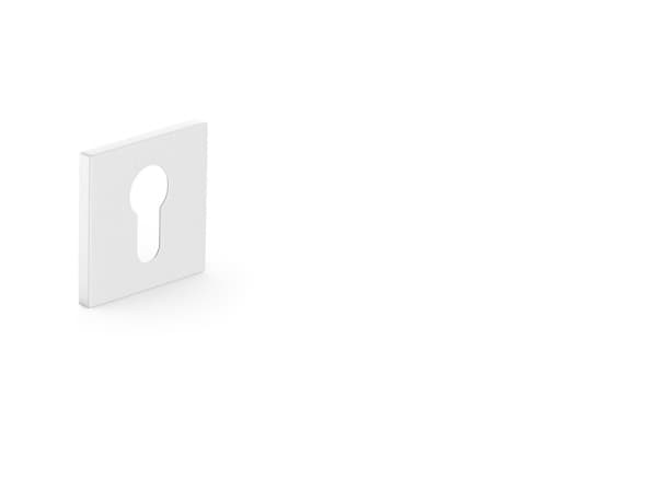 Metal_Bud Eschutcheon For Cylinder Matte Nickle