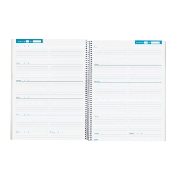 Diary Finocam Blue 23 x 31 cm Teaching
