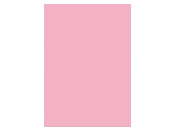 Paperi A4 130g 50 arkkia, kirkas 300x10x210mm 0.38kg (50kpl) - (50 kpl) - (50 kpl)