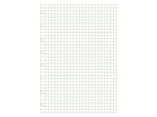 Muistikirjatäyte A5, Ternet210x10x148mm 0,7kg (1stk)