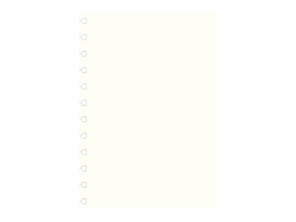 Filofax Notesbog Refill A4 Ulinjerede